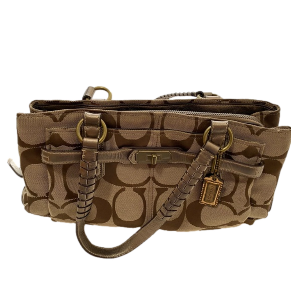 Coach Carryall Bag